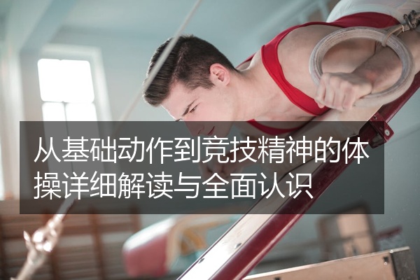 从基础动作到竞技精神的体操详细解读与全面认识
