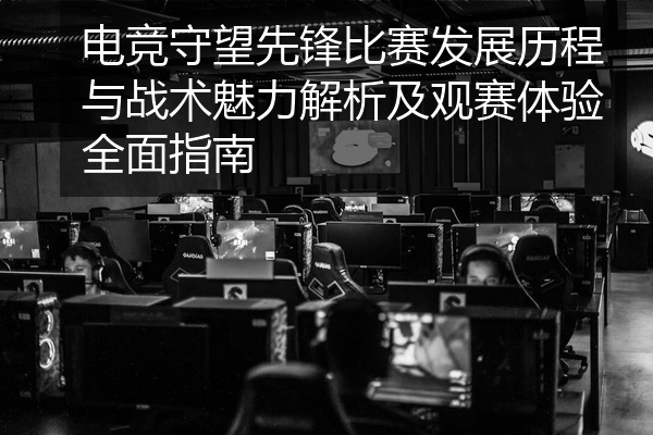 电竞守望先锋比赛发展历程与战术魅力解析及观赛体验全面指南