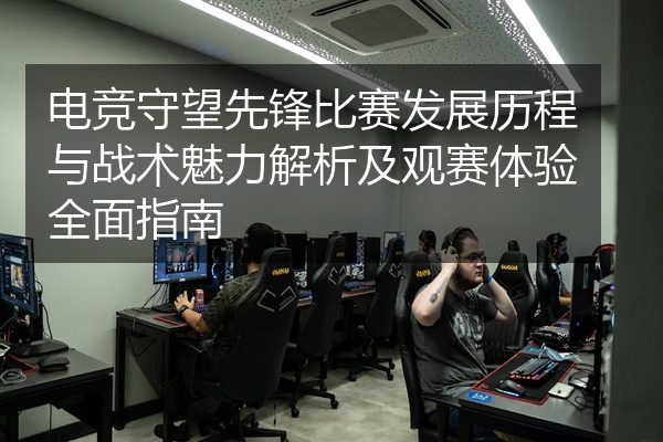 电竞守望先锋比赛发展历程与战术魅力解析及观赛体验全面指南